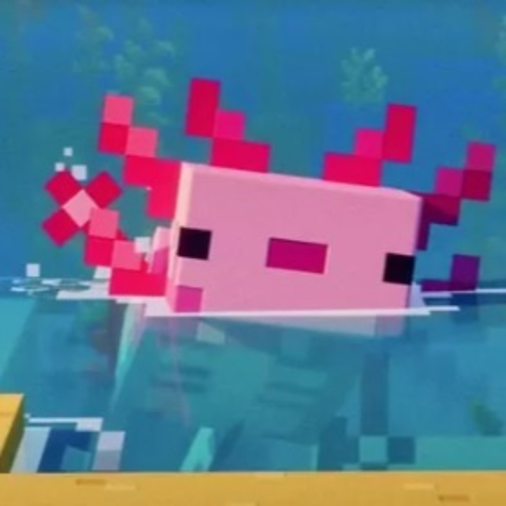 Meet your Posher, Aubrey